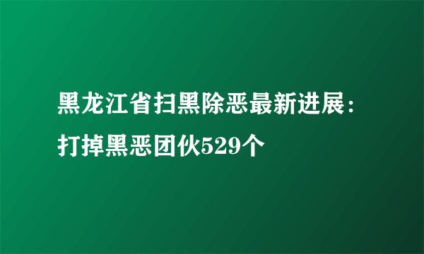 黑龙江省扫黑除恶最新进展：打掉黑恶团伙529个