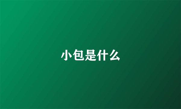 小包是什么