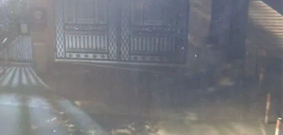 男子叫网约车运什么被抓？