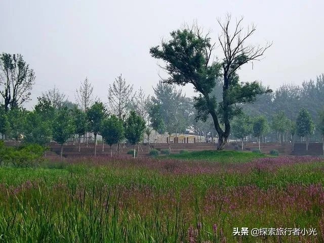 潇河湿地公园可以帐篷吗？