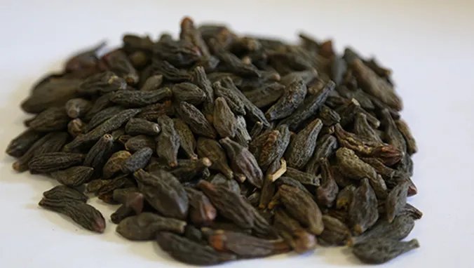 香附的作用与功效