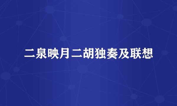 二泉映月二胡独奏及联想