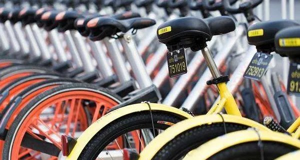 女子在机动车道骑共享单车逆行被撞身亡或担主责是怎么回事?