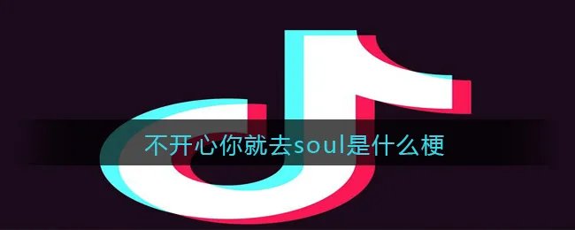 不开心你就去soul是什么意思