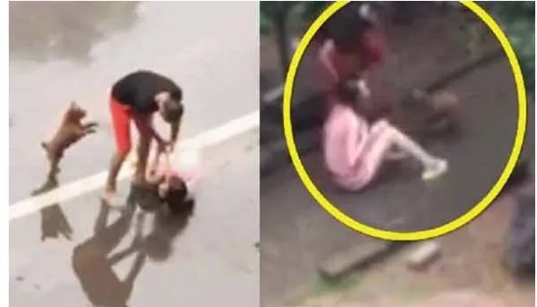 男子雨中殴打怀孕妻子是怎么回事？