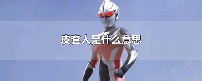 皮套人是什么意思