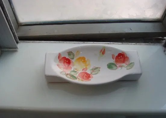 一个绚丽一个冷静 各展所长打造我的双卫之家