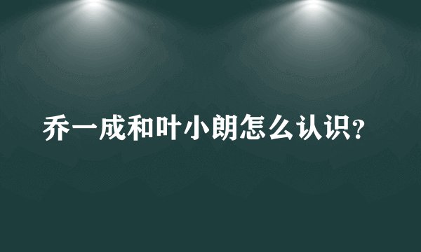 乔一成和叶小朗怎么认识？
