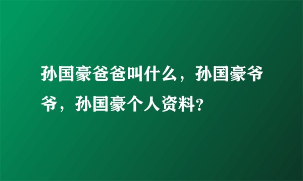 孙国豪爸爸叫什么，孙国豪爷爷，孙国豪个人资料？