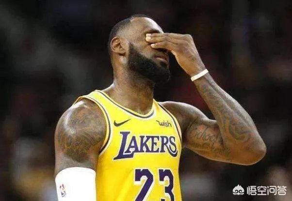 如果下赛季湖人与猛龙争夺冠亚军，谁的胜率会高？