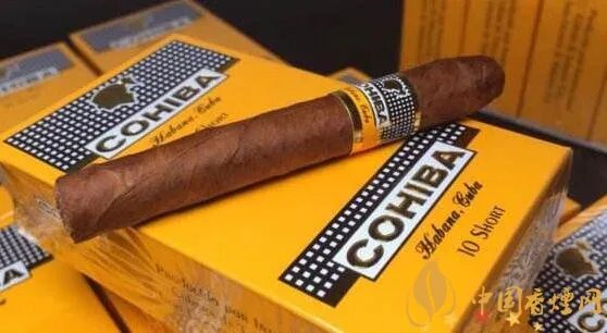 正宗古巴雪茄多少钱一支 古巴雪茄价格表和图片
