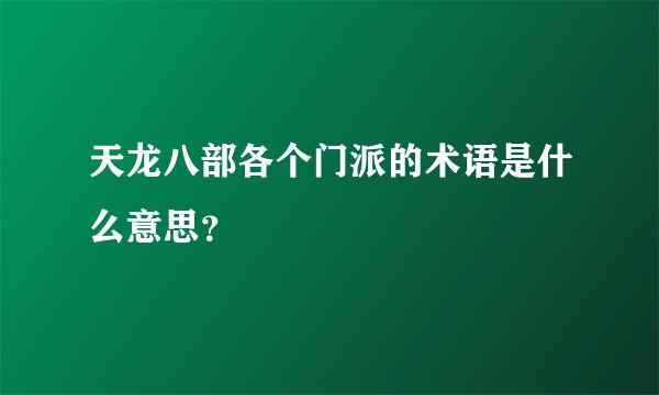 天龙八部各个门派的术语是什么意思？