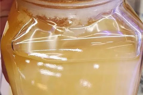 蜂王浆的作用与功效都有哪些呢