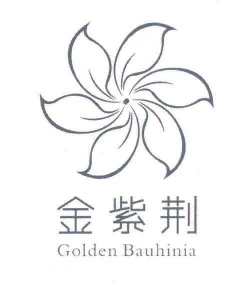 紫荆花图片绘画？