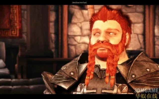 《龙腾世纪:起源-觉醒》图文攻略 第二章