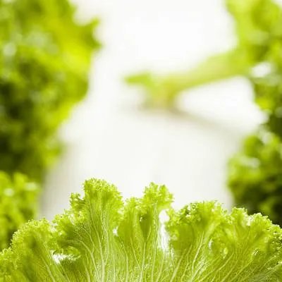 秋季喝什么汤好