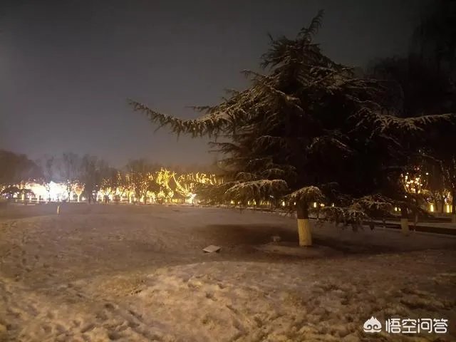 有哪些堆的雪人图片分享？