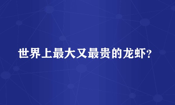 世界上最大又最贵的龙虾？