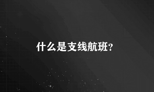 什么是支线航班？