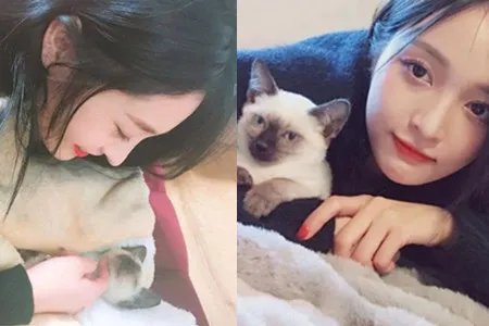 吴宣仪悼念爱猫 粉丝后援会捐建希望医院传递正能量