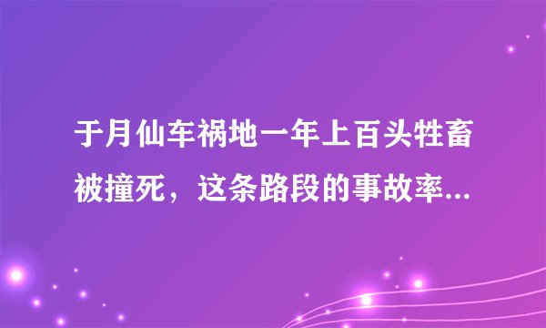于月仙车祸地一年上百头牲畜被撞死，这条路段的事故率为何如此频发？