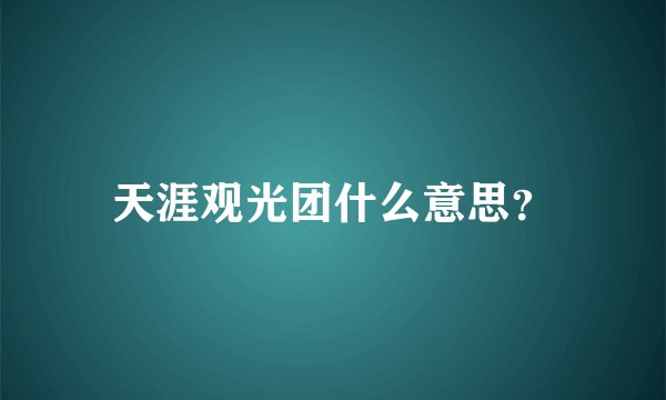 天涯观光团什么意思？
