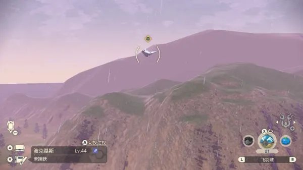 《宝可梦阿尔宙斯》波克基斯捕捉点分享 波克基斯在哪能抓到