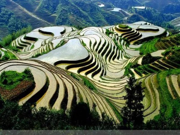 谁不说俺家乡好歌词是什么意思？