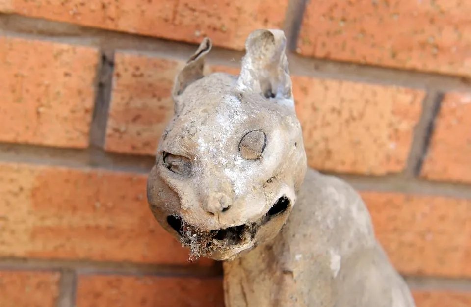 男子发现木乃伊猫 千年女木乃伊产下活婴