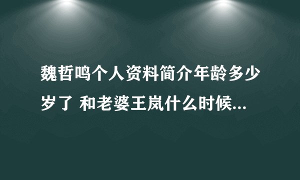 魏哲鸣个人资料简介年龄多少岁了 和老婆王岚什么时候离得婚豆瓣被扒