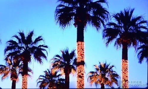 QVAD点播技术 UPLINK UP-523A播放机评测