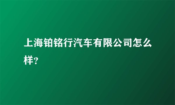 上海铂铭行汽车有限公司怎么样？