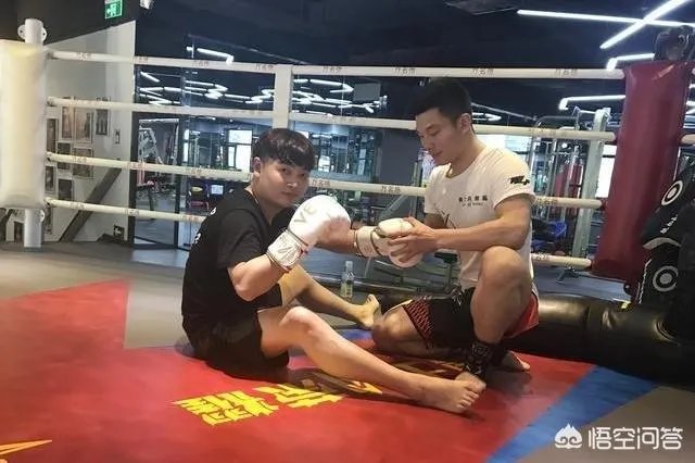 为什么郭晨冬能成为中国搏击大佬?