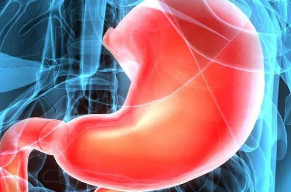 胃的拼音怎么写的拼音