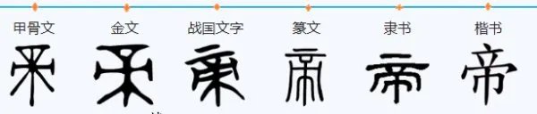 蒂和帝怎么组词