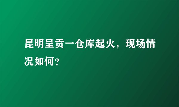 昆明呈贡一仓库起火，现场情况如何？