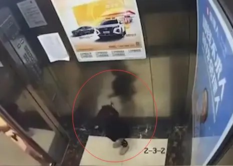 女童被保姆遗留电梯后从8楼坠亡,家长愤而质疑,此事背后有何疑点?