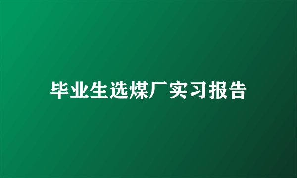 毕业生选煤厂实习报告