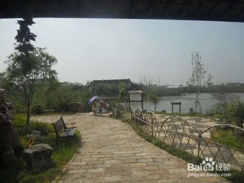 假期旅游之上海金山廊下生态园