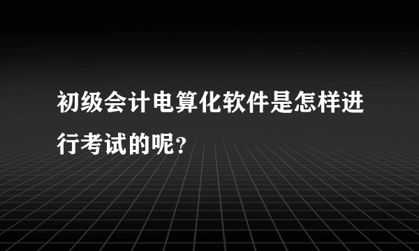 初级会计电算化软件是怎样进行考试的呢？