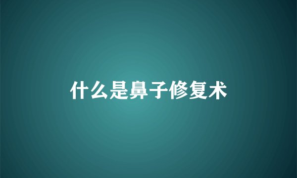 什么是鼻子修复术