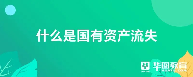 什么是国有资产流失