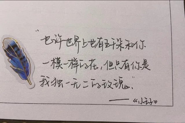 一个普通的女生如何才能谈一场恋爱？