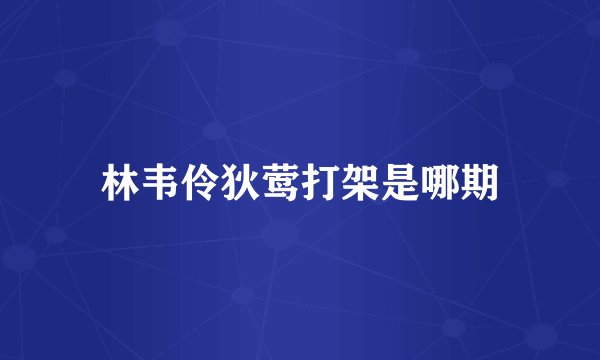 林韦伶狄莺打架是哪期