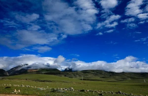 我要去西藏歌词中有句风光什么草色青青？