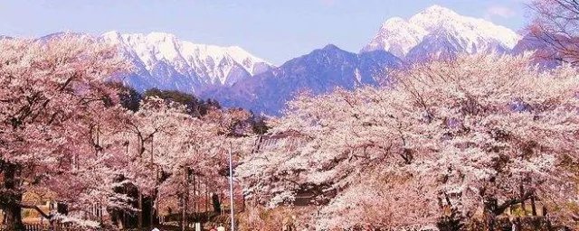 日本我孙子市在哪个县