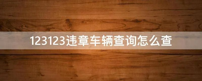 123123违章车辆查询怎么查