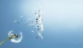 你听过的最令人难过的话是什么?