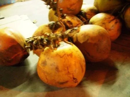 很多有关蜈支洲岛旅游的问题。。。