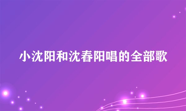 小沈阳和沈舂阳唱的全部歌
